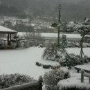 시온민박 이미지