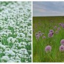 묵림한의원 이미지