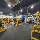 삼손헬스 이미지