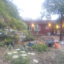 솔향민박 이미지