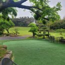 창녕파3 골프랜드 이미지