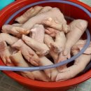 보광족발 네이버블로그
