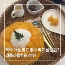 성수 애플망고빙수 맛집 라플레플루트 웨이팅 후기 웨이팅 꿀팁 신라호텔 망고빙수와 직접 비교해본...