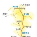 중원-21 Daum카페