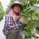 조미영농장 이미지