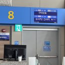 159 | [리뷰] 아시아나항공 A321neo 인천-구마모토 OZ160 OZ159 내돈내산 후기 l 오토체크인 방법, 구마모토 공항