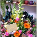 지노메디 이미지