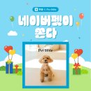 펫바이블 이미지