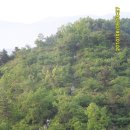 300랠리 달리는 도우미(하프까지만...)