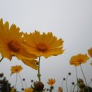 (주)첨지 이미지