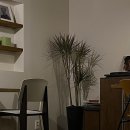 울산중앙여자고등학교 이미지