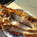 의룡계곡펜션 이미지