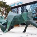 (주)엑셀바이오 이미지