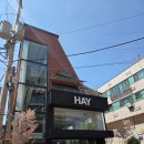 최고로 | 압구정 브런치 맛집 달링키친 최고로 행복했던 혼밥브런치 후기