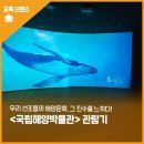 고산윤선도유물전시관(휴관) | 우리 선조들의 해양문화, 그 진수를 느끼다 - 국립해양박물관 해양관 관람 후기