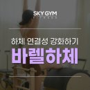 스카이짐 피트니스 괴정점 | [괴정 필라테스/스카이짐] 하체 라인을 바꾸는 바렐 중강도 필라테스 루틴