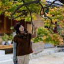 청사로-8 이미지