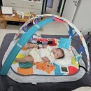 내산체육관 이미지