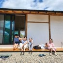 스테이 밭 이미지