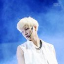 모션픽쳐 Daum카페