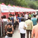 광명동굴 (경관광장) 이미지