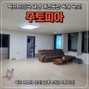 목포펜션 | 강아지와 목포 여행! 목포펜션애견동반가능 주토피아