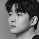 강영석 카카오 검색결과