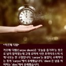 카르페디엠