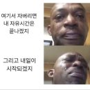 새로운 경험들 가득