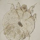 노블동물병원 이미지