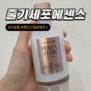펜타스템 | 피부 컨디션 수직 상승! 더샐랩 펜타스템 줄기세포 에센스 사용 후기