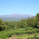 밸리 통나무 빌리지 이미지