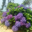 대불농장 이미지