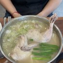 우성 | 광안리 우성닭칼국수 내돈내산 후기