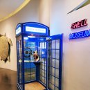 세계조개박물관 이미지