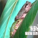 금복농장 네이버블로그