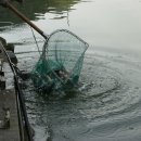 대성낚시터 이미지