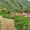 신선왕선 이미지