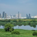 문화광장(공원) 이미지