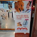 에니펫동물병원