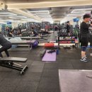 라인짐(LINE GYM) 이미지