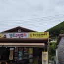 캠프챌린지 | [태백 여행] 365세이프타운 대한민국 청소년 안전캠프 2일차 후기🔥 챌린지월드, 한국안전체험관(수정 중)