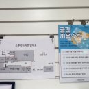 스쿠비다이브