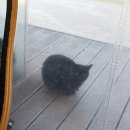 바베큐팩토리감북점