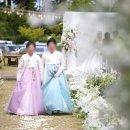 야외 결혼식 bgm 리스트 / 주례 없는 결혼식 식순 / 사회자 대본 공유