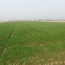 유선농장 이미지