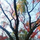 장충파출소 이미지