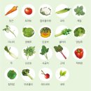 수야채