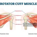 브이아이핏 이미지