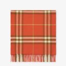 레드토마토 이미지